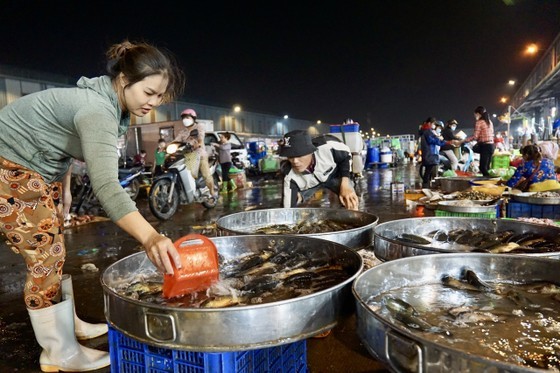 Minister of Agriculture, Rural Development surveys Binh Dien wholesale market ảnh 4
