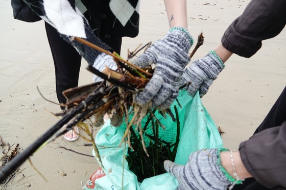 Forces, volunteers in Da Nang jointly clean up debris, trash following flood ảnh 2