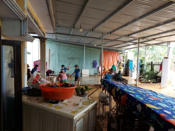 Forces, volunteers in Da Nang jointly clean up debris, trash following flood ảnh 12