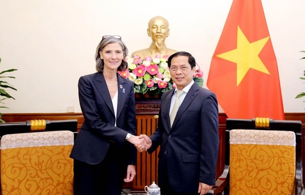 UNDP always attaches importance to cooperation with Vietnam ảnh 1