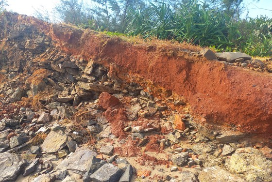 High tide causes coastal erosion in Quang Ngai Province ảnh 3