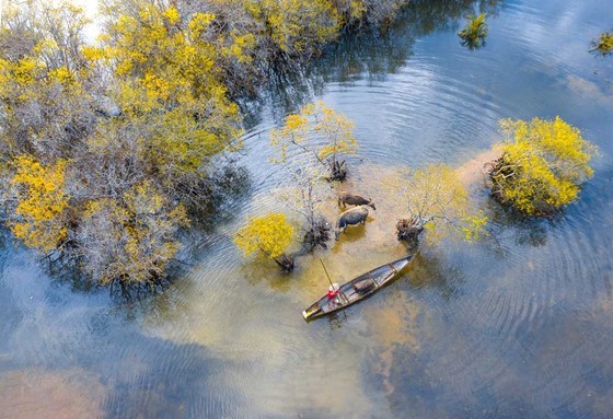 Extraordinary beauty of Ru Cha ảnh 1