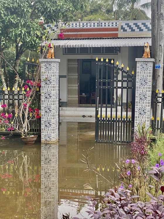 High tide causes serious flooding in downstream of Hau Giang  ảnh 4