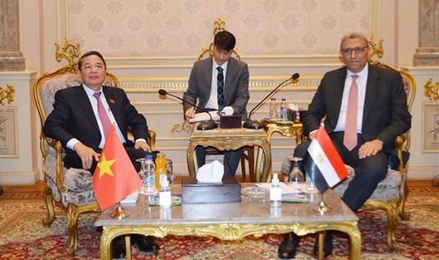 NA Vice Chairman pays working visit to Egypt ảnh 1