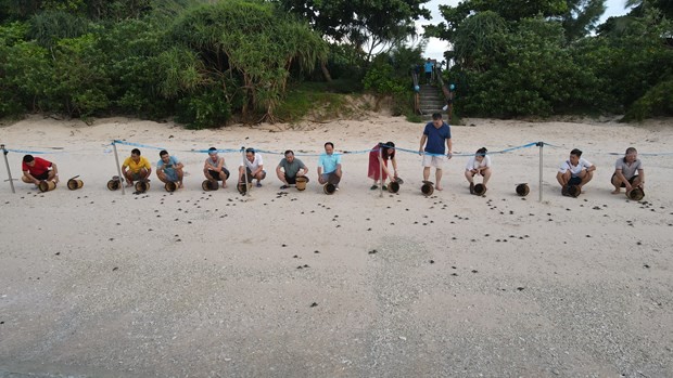 Ba Ria-Vung Tau: eco-tourism goes with environmental protection ảnh 5