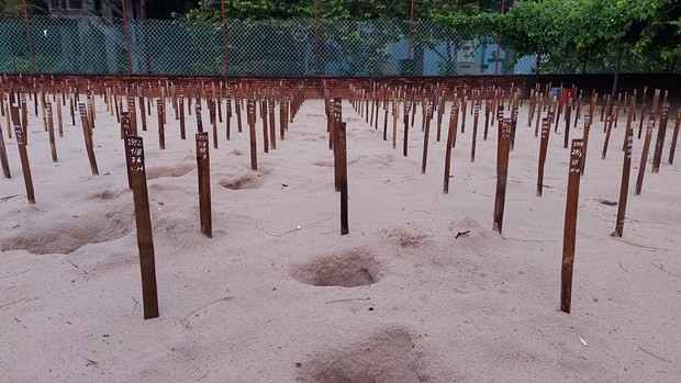 Ba Ria-Vung Tau: eco-tourism goes with environmental protection ảnh 4