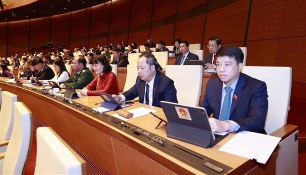 At the NA working session (Photo: VNA)