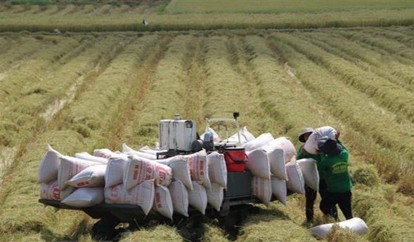 Illustrative image (Source: VNA)