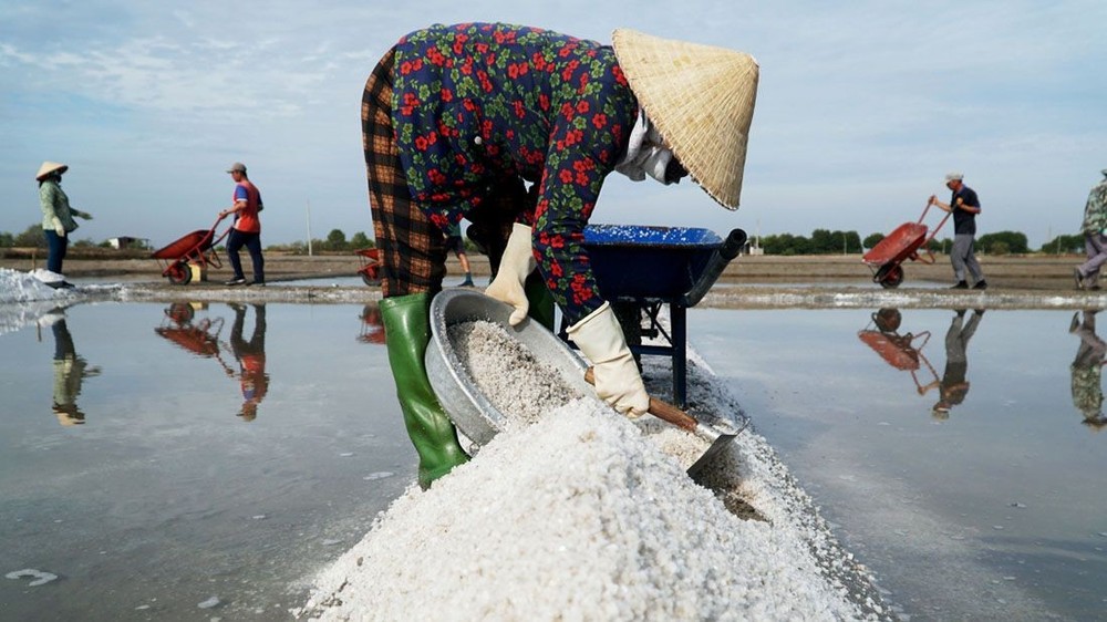 A salt farmer is harvesting salt.