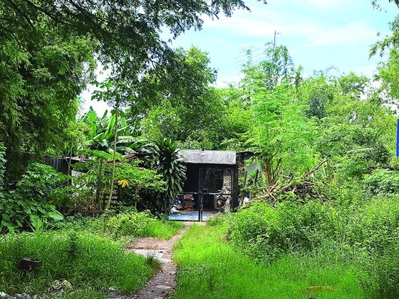 A household that has not received compensation at Vinh Loc Residential Area in Binh Hung Hoa B Ward, Binh Tan District.