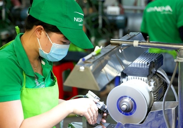 A worker of Kem Nghia Joint Stock Company. (Photo: VNA)