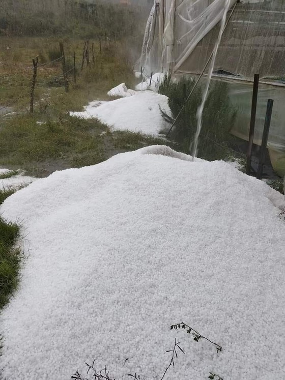 The hail descends upon Lac Duong District, Lam Dong Province on the afternoon of March 22.
