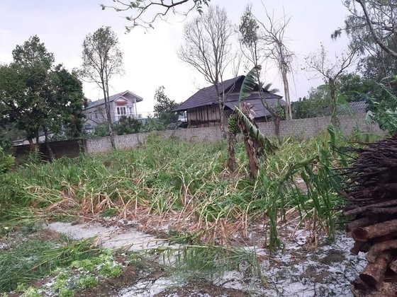 Hails cause serious damage in Dien Bien on the afternoon of March 19.