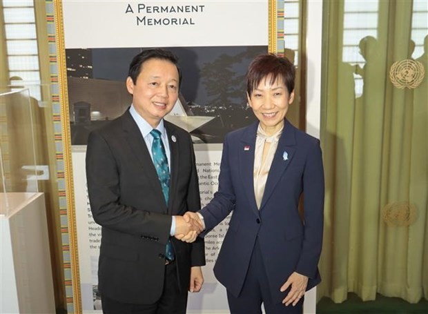 Deputy Prime Minister Tran Hong Ha and Singaporean Minister for Sustainability and the Environment Grace Fu. (Photo: VNA)