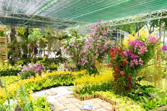 Ho Chi Minh City Orchid Festival is expected to become the city's cultural festival to lure tourists. Ho Chi Minh City Orchid Festival is expected to become the city's cultural festival to lure tourists.