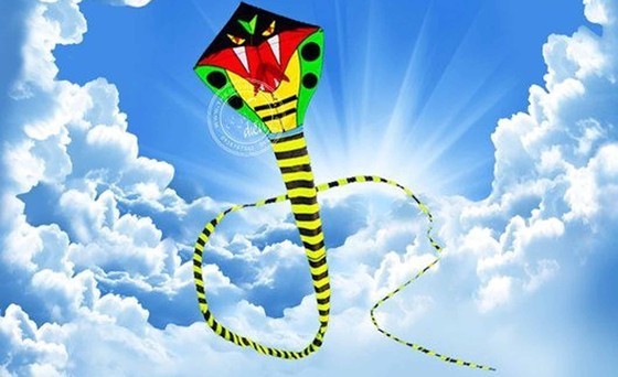 The snake-shaped kite with a total length of 120 meters will be performed at Thai Quoc Hung Square.(Photo:thegioidieu.com)