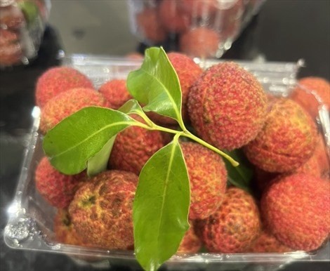 The first batch of Vietnamese seedless lychees arrived in the UK on June 16, becoming the fourth specialty fruit of Vietnam exported via the official channel to the demanding market this year.