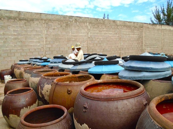 The salt-mixed anchovies are put into pots