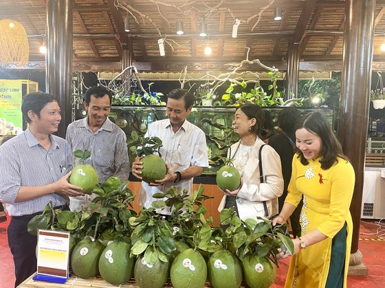Green-skin grapefruit of Vu Dinh Tu household business in Binh Chanh District meets OCOP standard