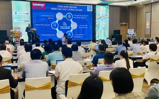 A view at the conference