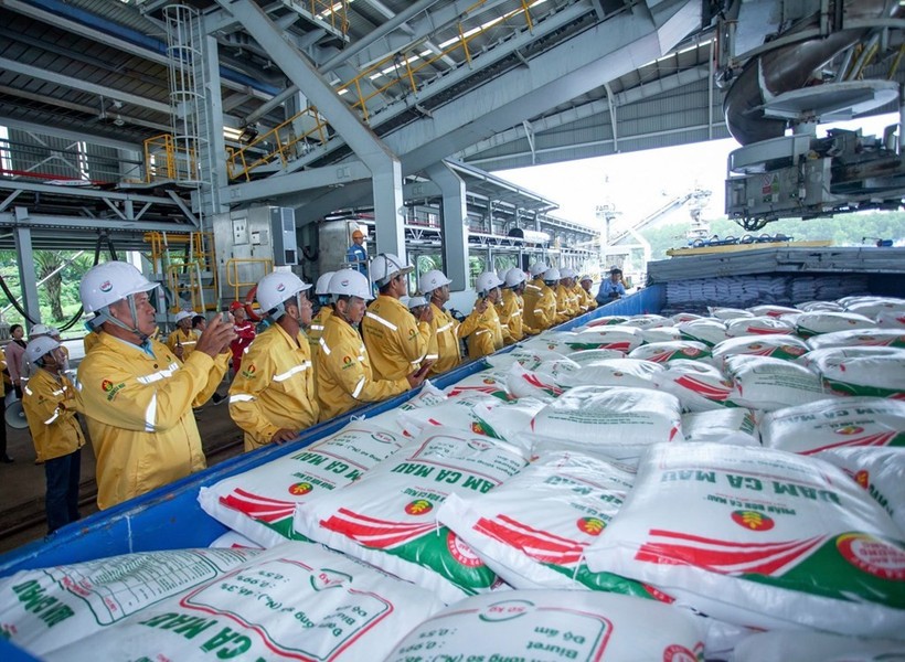 vietnamese-firm-successfully-exports-first-40000-tonnes-of-fertiliser-to-us.jpg
