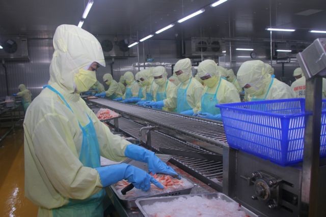 516141_seafood.jpg