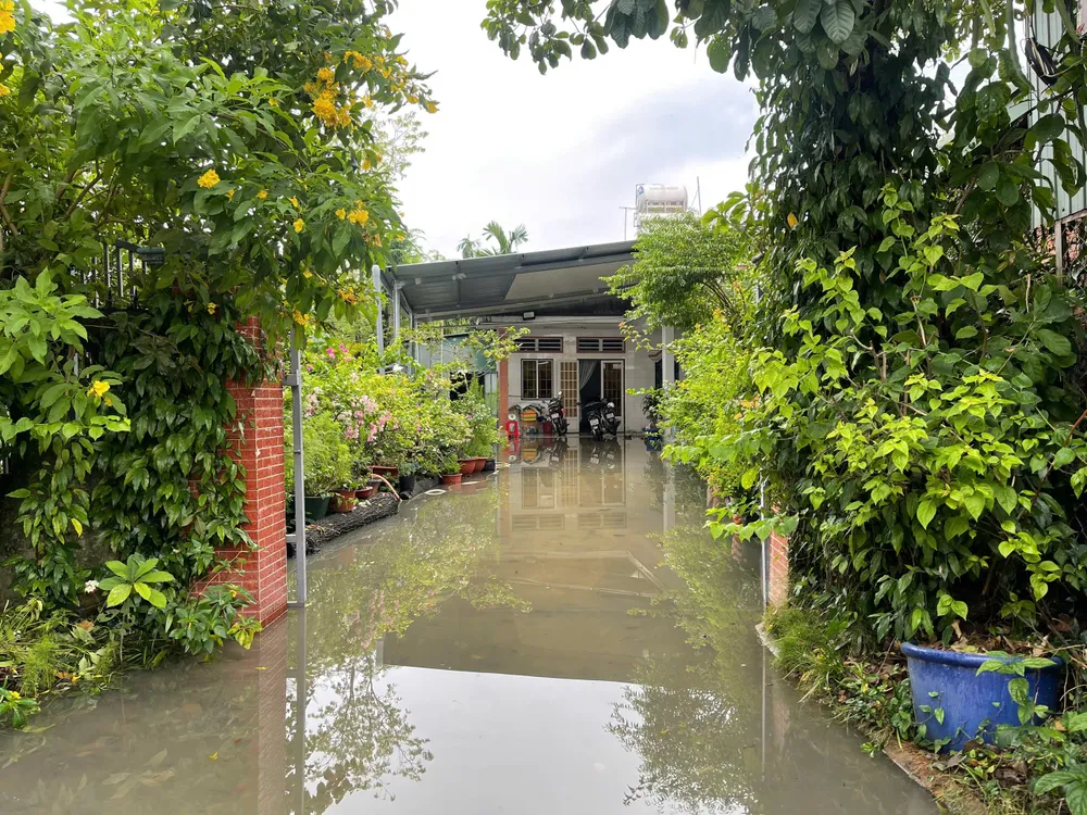 triều cường 13.jpg