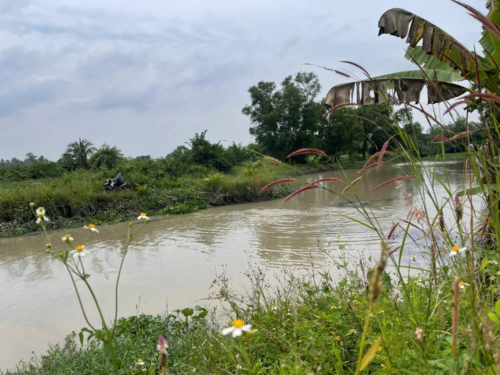 triều cường 27.jpg