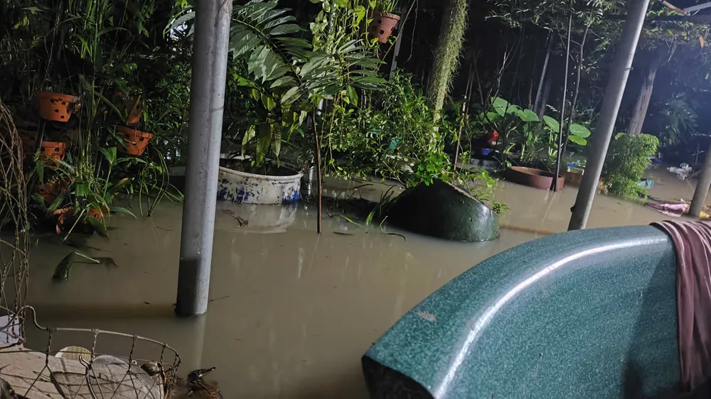 triều cường 30.jpg