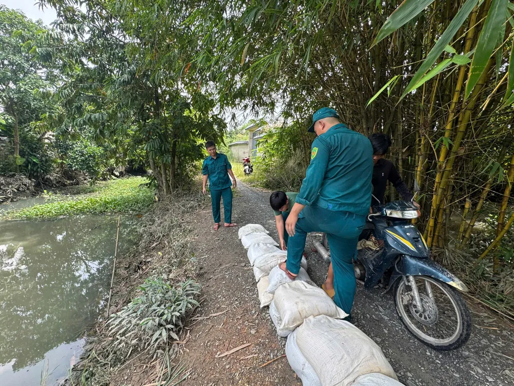 triều cường 4.jpg