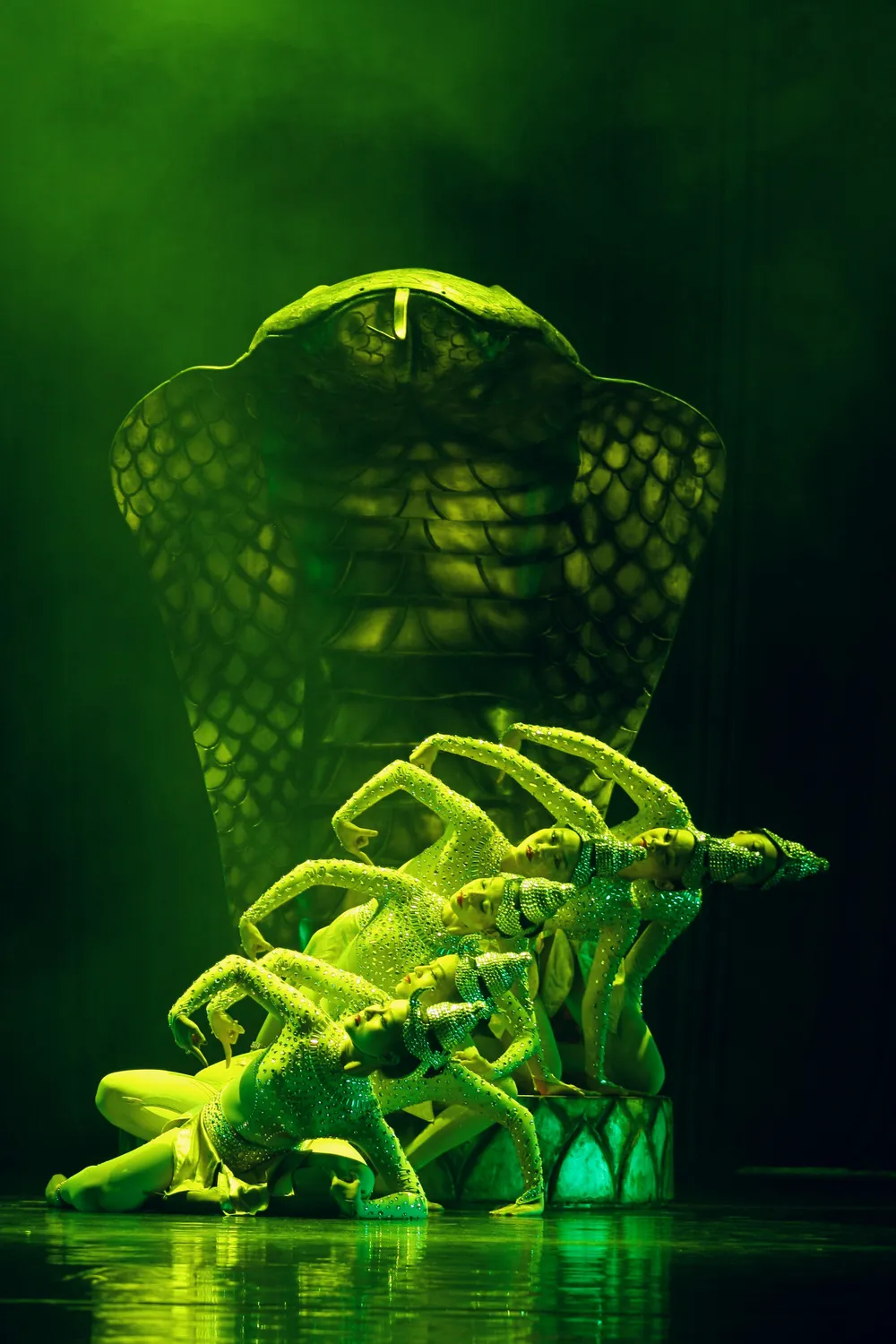 Liên hoan nghệ thuật múa TPHCM mở rộng 2020 ảnh 5