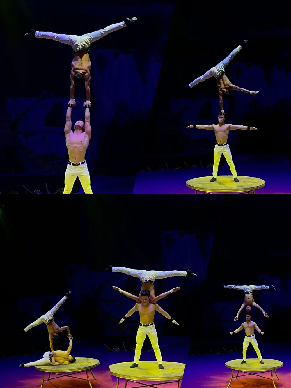 Chương trình xiếc “Khu rừng hạnh phúc - Vũ điệu rừng xanh” biểu diễn tại TPHCM ảnh 1