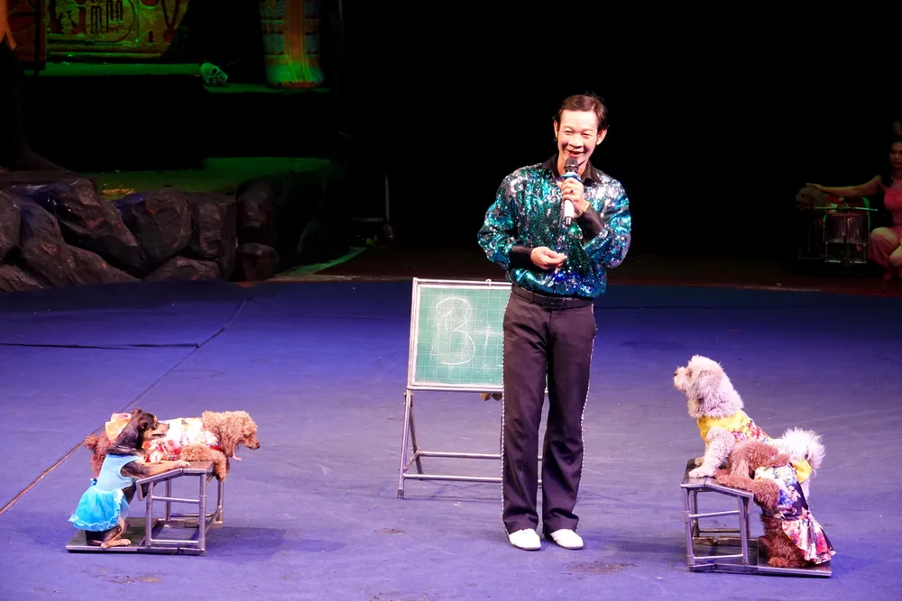 Những chú cún thông minh học làm toán. Ảnh: THÚY BÌNH