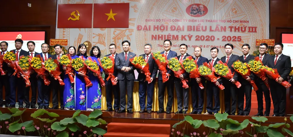 Ngành điện TPHCM phải đi đầu trong thực hiện chủ trương, chính sách về phát triển năng lượng ảnh 2