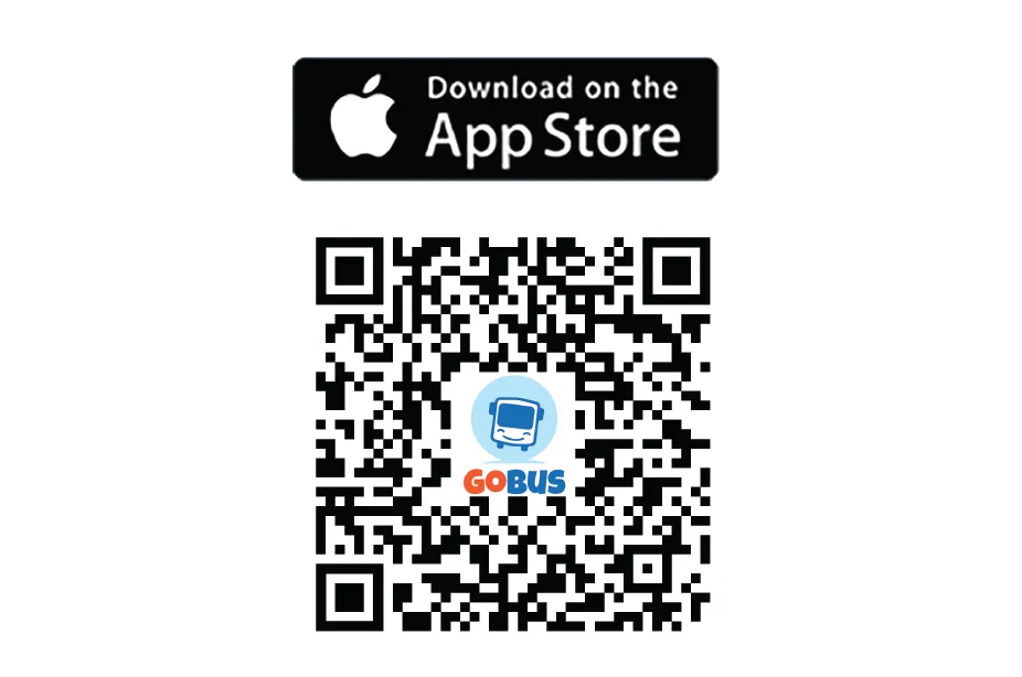 Thanh niên tình nguyện đi chợ giúp người dân quận 1  ảnh 1