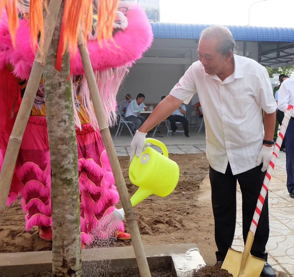 Bí thư Thành ủy TPHCM trồng cây xanh tại Sân vận động quận 7 ảnh 1