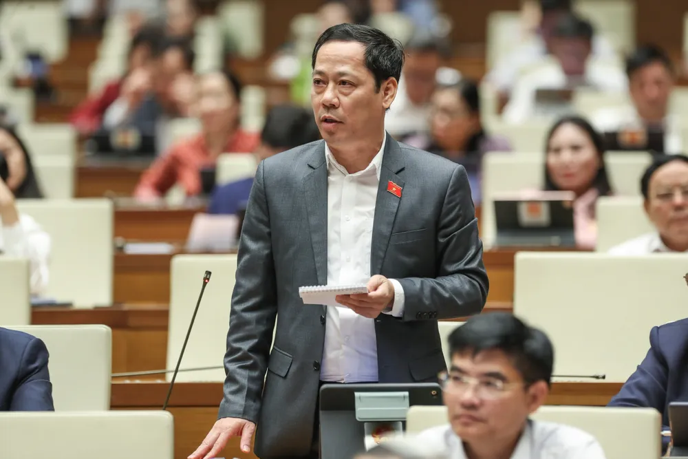 Thanh tra địa phương “giơ cao đánh khẽ“ ảnh 10