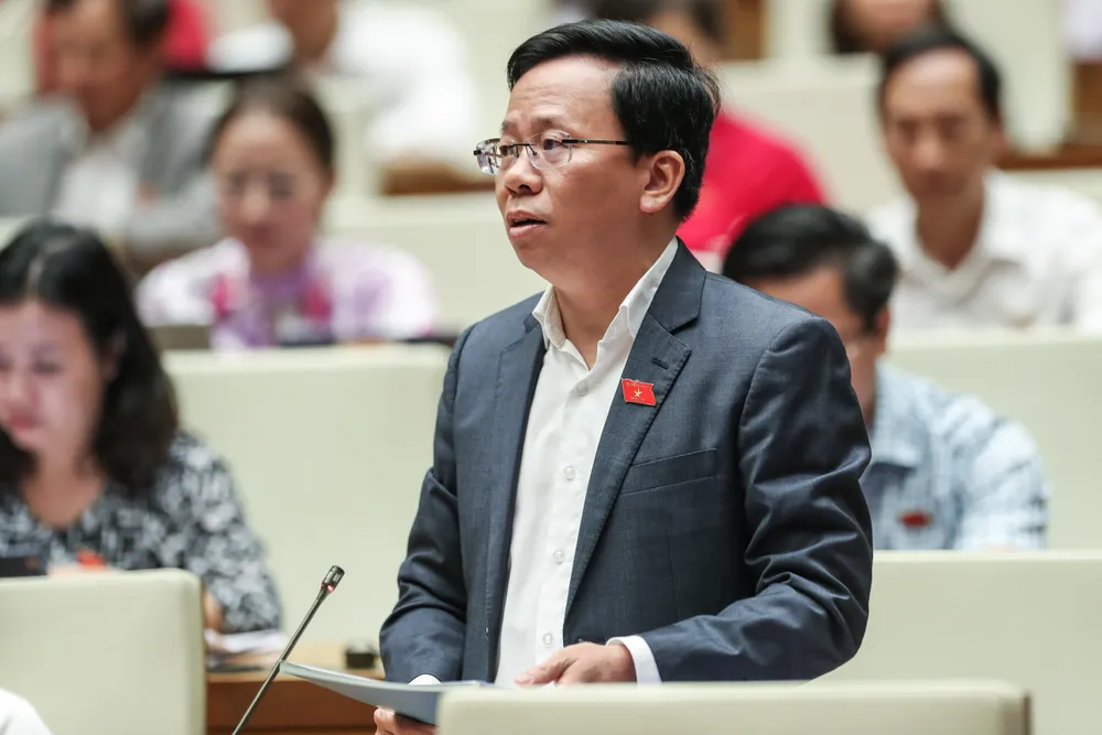 Thanh tra địa phương “giơ cao đánh khẽ“ ảnh 8