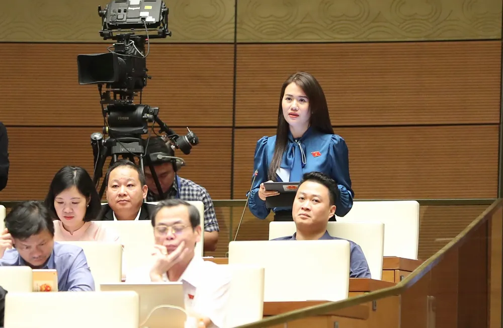 Phiên chất vấn sáng 5-11: Xác định tự chủ một phần hay tự chủ toàn diện ảnh 2