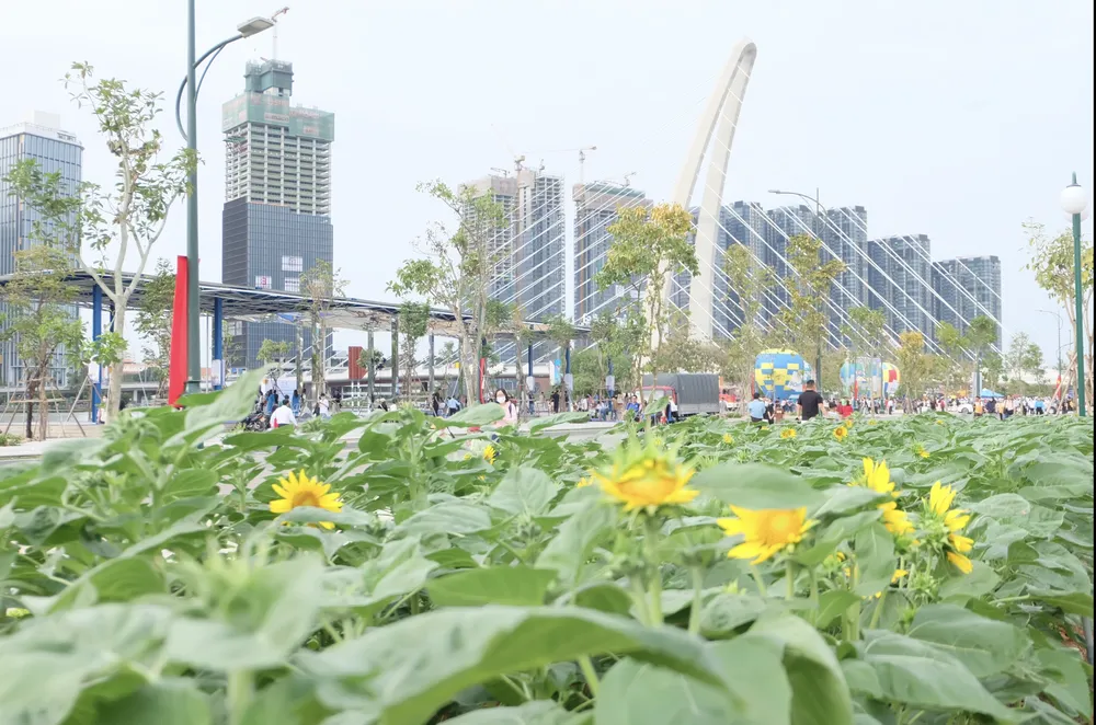 Ảnh chụp Màn hình 2024-10-31 lúc 12.24.18.png