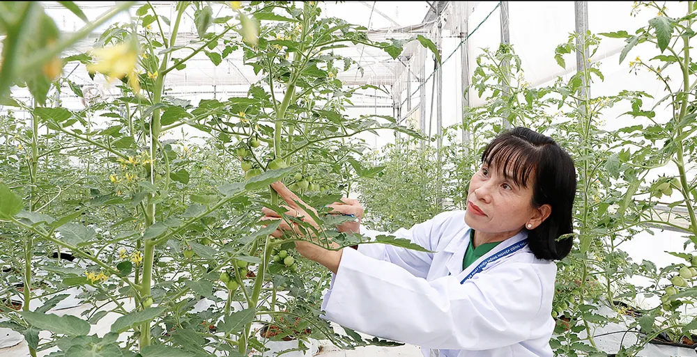 Ảnh chụp Màn hình 2024-12-09 lúc 09.27.42.png