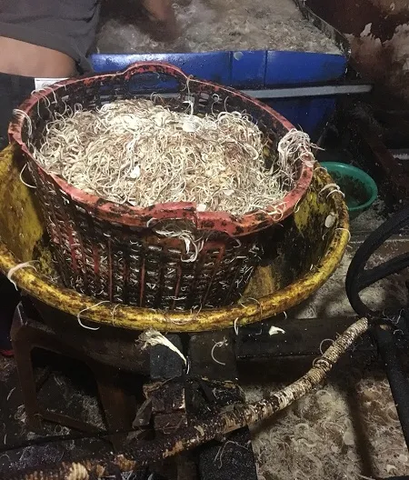 Phát hiện 2 cơ sở chế biến hoa chuối bào ngâm hóa chất ảnh 2