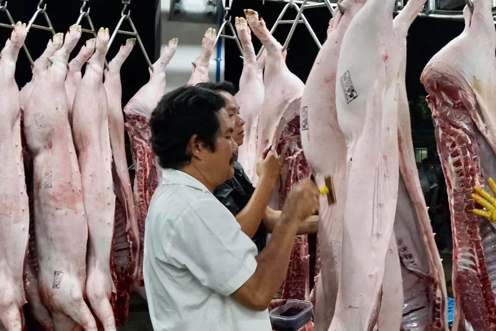 Kiểm soát chặt nguồn thịt heo vào TPHCM ảnh 1