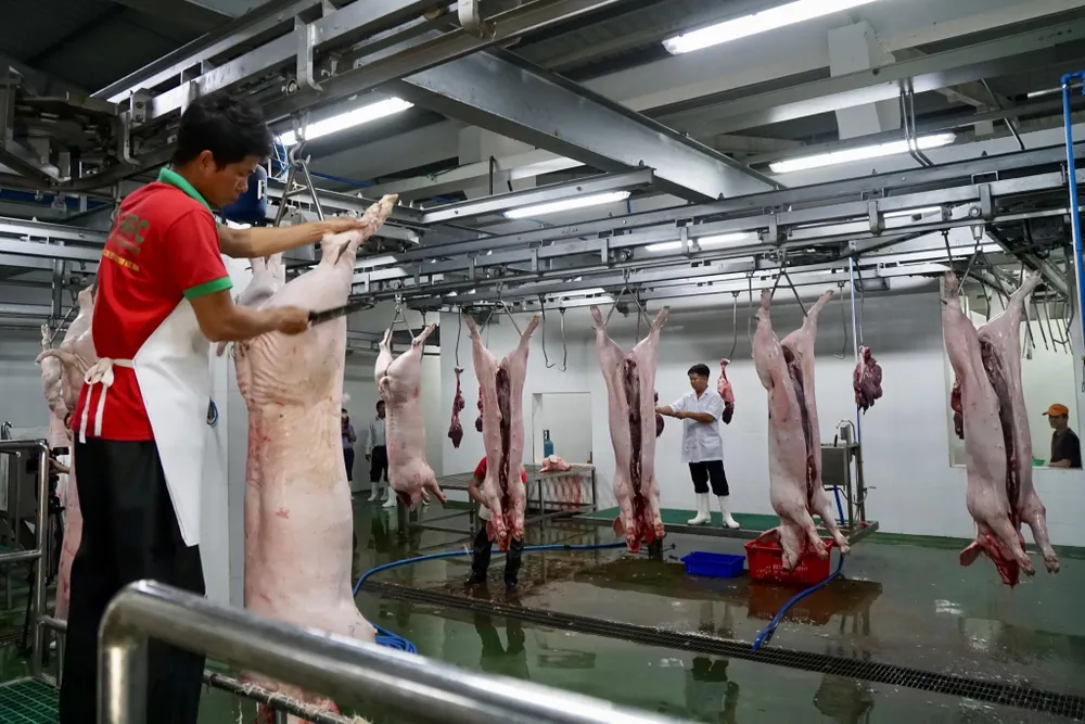 Kiểm soát chặt nguồn thịt heo vào TPHCM ảnh 2