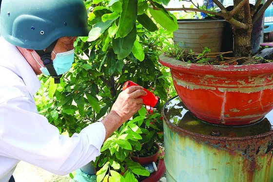 Cán bộ y tế dự phòng kiểm tra lăng quăng tại các điểm nguy cơ