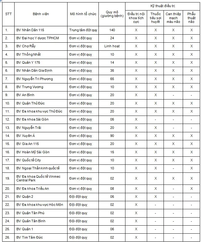 TPHCM: 26 bệnh viện có thể tiếp nhận và điều trị bệnh đột quỵ ảnh 1