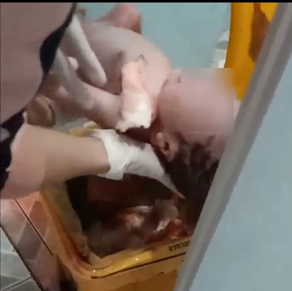 Bé trai sơ sinh được lấy ra từ thùng rác bệnh viện