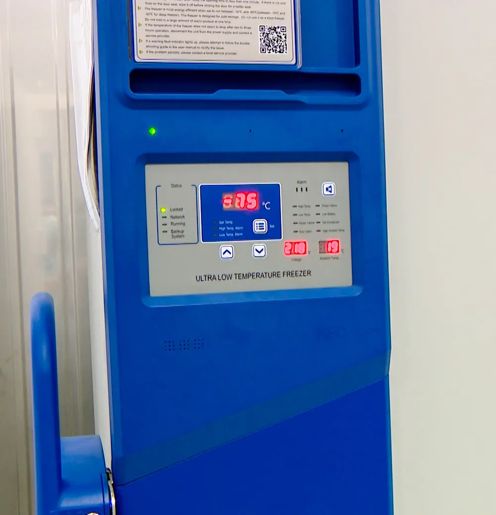 117.600 liều vaccine Covid-19 đầu tiên đã về Việt Nam ảnh 5