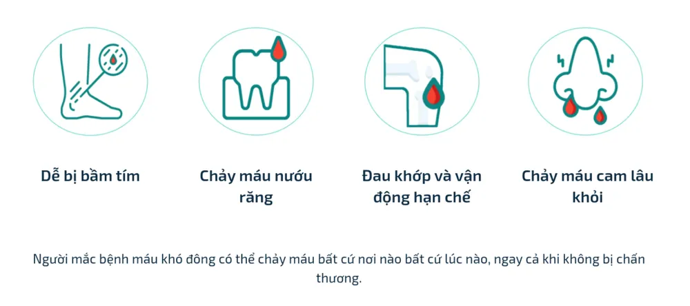 Bớt gánh nặng trong điều trị bệnh rối loạn đông máu ảnh 2