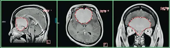 1000008480.jpg